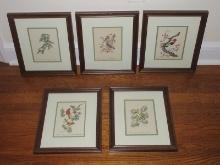 Collection 5 Various Birds and Botanical Framed Artwork Prints All Artist Signed Anne Worsham