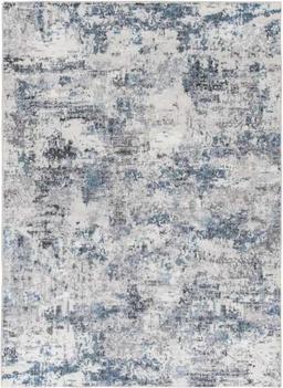 Home Decorators Collection Adare Blue 7 ft. x 9 ft. Painterly Polyester Area Rug, Retail Price $260,
