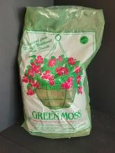 Green moss $5 STS