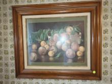 (DR) WALL HANGING FRAMED PRINT OF FRUIT IN BASKET SIGNED BY ARTIST J. CALIFANO, MEASURE