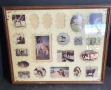 Vintage Photos of a Horse $5 STS
