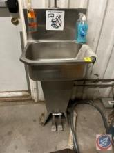 hand sanitizing sink