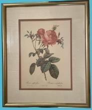 Double Matted and Framed Rose Print by Pierre