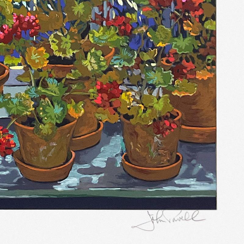 Geraniums by Powell, John