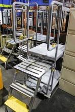 2-TIER STOCK CART WITH LADDER