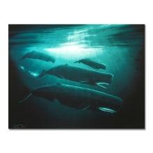 Wyland "The Great Sperm Whale" Limited Edition Cibachrome On Board