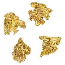 Lot of Mexico Gold Nuggets 1.93 Grams Total Weight