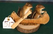 Two Chipmunks  in a Canoe going Fishing Taxidermy Novelty Mount