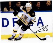 Pavel Zacha Boston Bruins Autographed 8x10 Photo JSA W coa