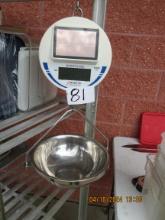 Detecto SC530 301B Solar Powered Hanging Scale