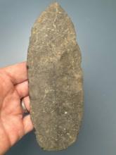 6 1/4" Argillite Petalas Blade, Found in New Jersey, THIN Example and Large
