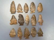 NICE Selection of 15 Various Points, Mainly Onondaga Chert, Longest is 2 1/2", Found in New York, Ex