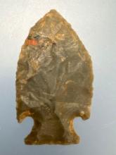 FINE 1 3/4" THIN Jacks Reef Point, Found in North Carolina, Nice Example