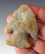 2 1/2" Archaic Bevel made fromCoshocton Flint. Found in Tuscarawas Co., Ohio. Bennett COA.