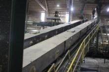 Stainless Steel Single Chain Conveyor 20" x 102' w/Elec Dr