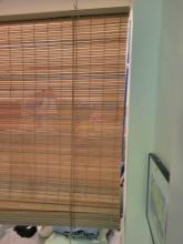 Bamboo Roller Shade $1 STS