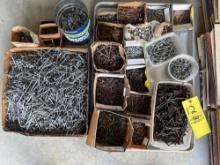large lot of assorted nails